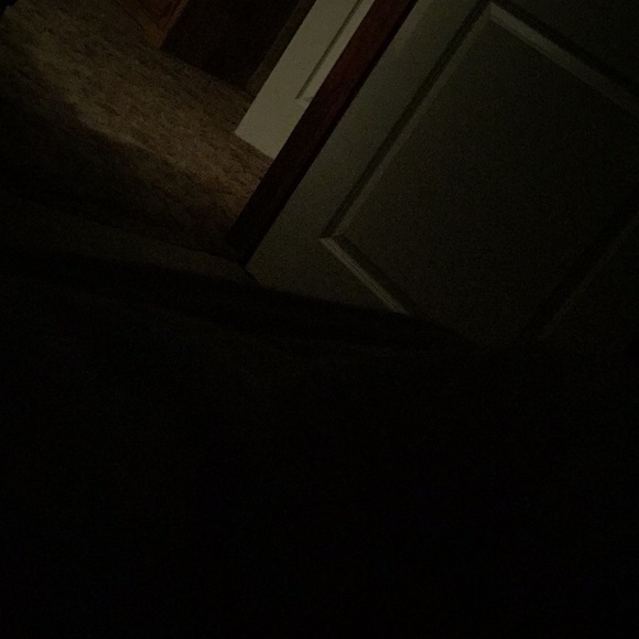 Meet your Posher, Haley - Picture 1 of 1